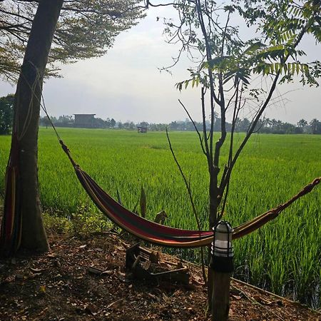 Tung Tong Homestay & Camping Mae Rim Exterior foto