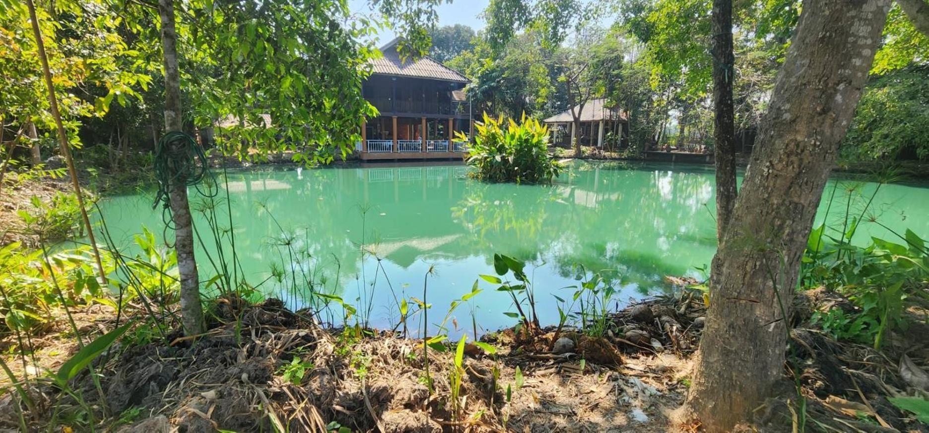 Tung Tong Homestay & Camping Mae Rim Exterior foto