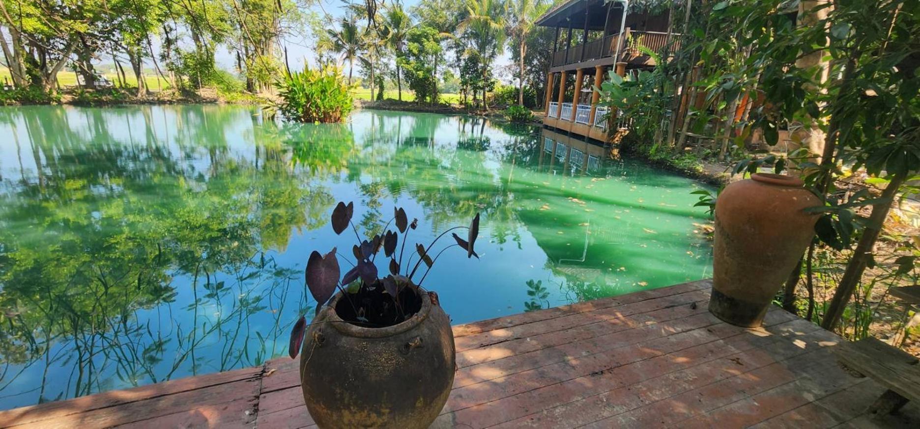 Tung Tong Homestay & Camping Mae Rim Exterior foto