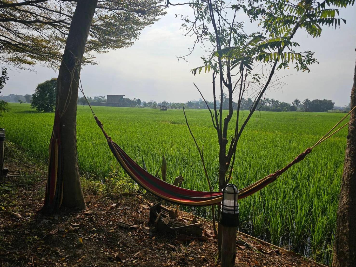 Tung Tong Homestay & Camping Mae Rim Exterior foto