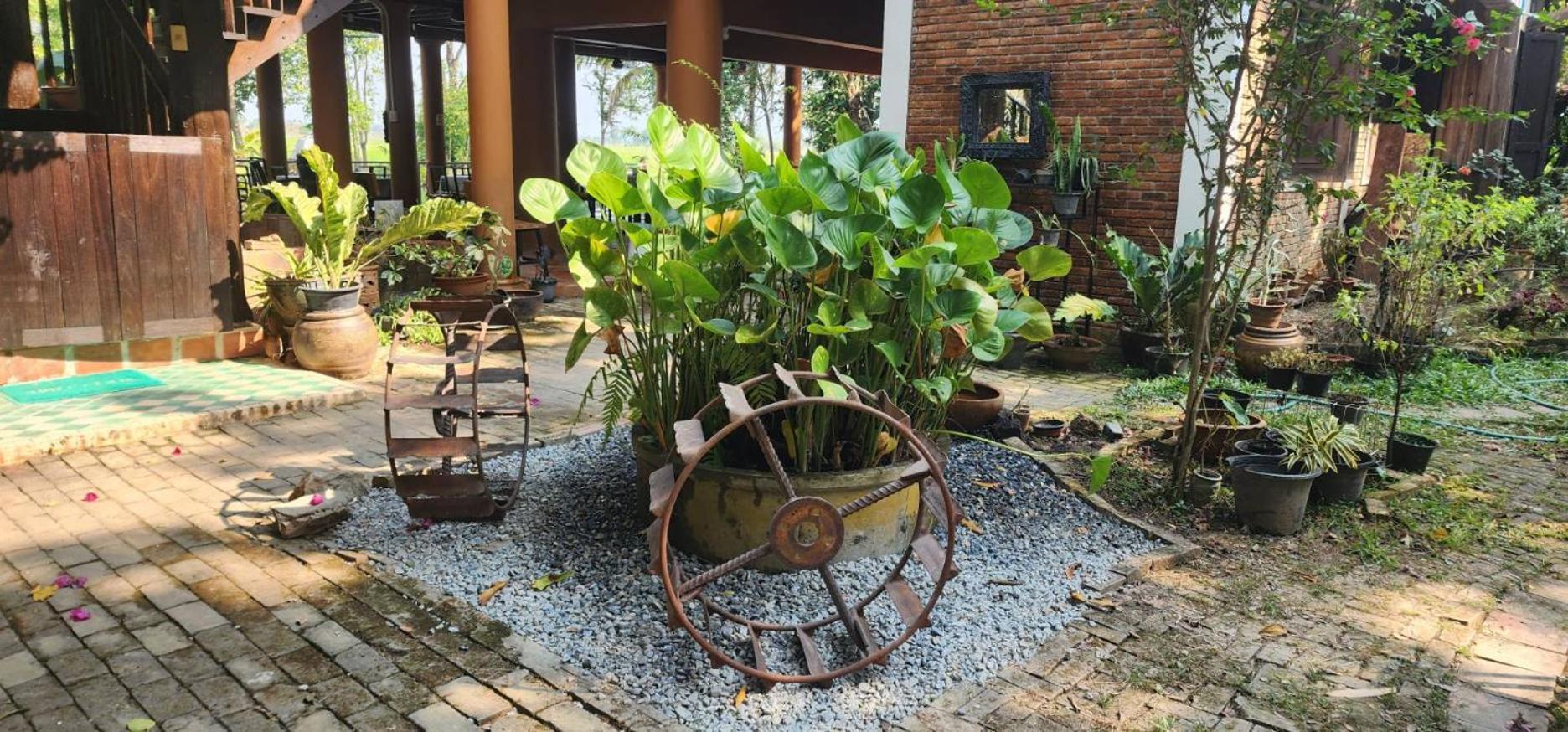 Tung Tong Homestay & Camping Mae Rim Exterior foto